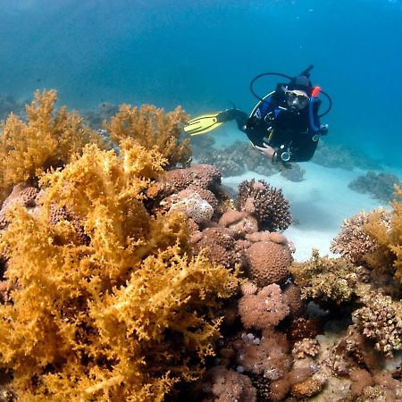 Dive Urge Hotel Дахаб Екстериор снимка