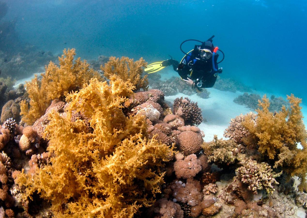 Dive Urge Hotel Дахаб Екстериор снимка
